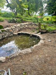 Curved Pond with Water Feature
